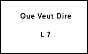 QUE VEUT DIRE NO L intelligence overview